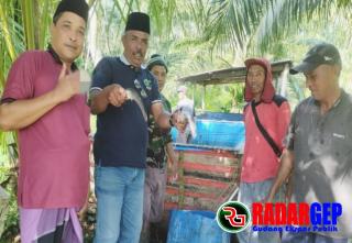 Program Ketahanan Pangan Budidaya Ikan Lele Desa Prapat Tunggal Membuahkan Hasil